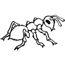 Coloring page: Ant (Animals) #7085 - Free Printable Coloring Pages