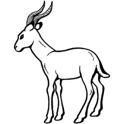 Coloring page: Antelope (Animals) #22599 - Free Printable Coloring Pages