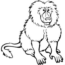 Coloring pages: Baboon - Free Printable Coloring Pages