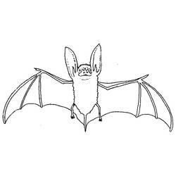 Coloring page: Bat (Animals) #1984 - Free Printable Coloring Pages