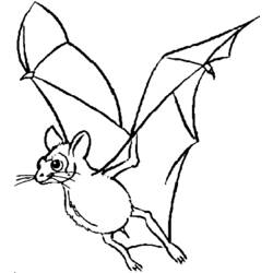 Coloring page: Bat (Animals) #2021 - Free Printable Coloring Pages