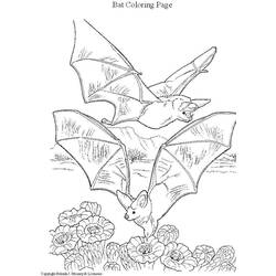 Coloring page: Bat (Animals) #2027 - Free Printable Coloring Pages