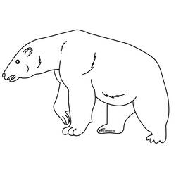 Coloring page: Bear (Animals) #12201 - Free Printable Coloring Pages