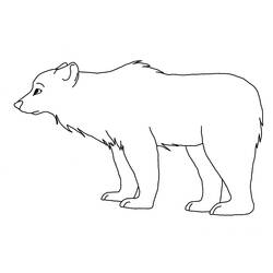 Coloring page: Bear (Animals) #12202 - Free Printable Coloring Pages