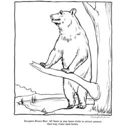 Coloring page: Bear (Animals) #12227 - Free Printable Coloring Pages