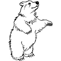 Coloring page: Bear (Animals) #12283 - Free Printable Coloring Pages