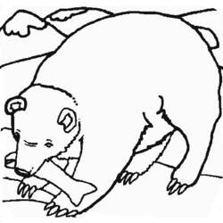 Coloring page: Bear (Animals) #12286 - Free Printable Coloring Pages