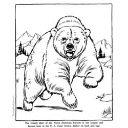 Coloring page: Bear (Animals) #12293 - Free Printable Coloring Pages