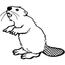 Coloring page: Beaver (Animals) #1571 - Free Printable Coloring Pages