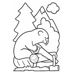 Coloring page: Beaver (Animals) #1595 - Free Printable Coloring Pages