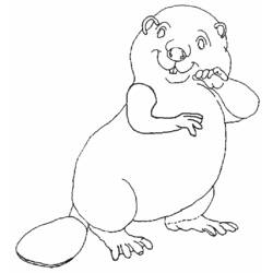 Coloring page: Beaver (Animals) #1618 - Free Printable Coloring Pages