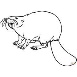 Coloring page: Beaver (Animals) #1623 - Free Printable Coloring Pages
