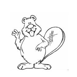 Coloring page: Beaver (Animals) #1630 - Free Printable Coloring Pages