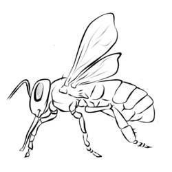 Coloring page: Bee (Animals) #125 - Free Printable Coloring Pages