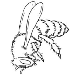 Coloring page: Bee (Animals) #141 - Free Printable Coloring Pages