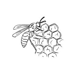 Coloring page: Bee (Animals) #142 - Free Printable Coloring Pages
