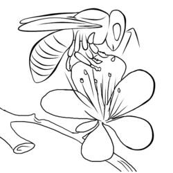 Coloring page: Bee (Animals) #83 - Free Printable Coloring Pages