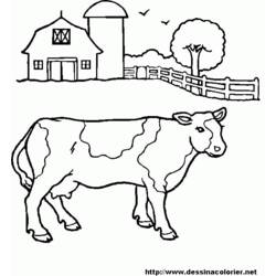 Coloring page: Beef (Animals) #1347 - Free Printable Coloring Pages