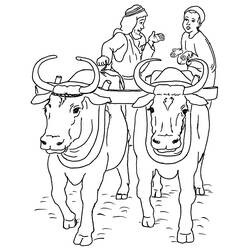 Coloring page: Beef (Animals) #1356 - Free Printable Coloring Pages