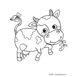 Coloring page: Beef (Animals) #1375 - Free Printable Coloring Pages