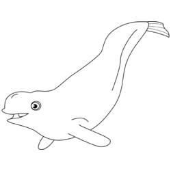 Coloring page: Beluga (Animals) #1042 - Free Printable Coloring Pages