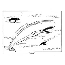 Coloring page: Beluga (Animals) #1046 - Free Printable Coloring Pages