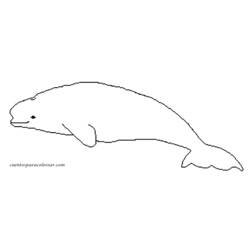 Coloring page: Beluga (Animals) #1063 - Free Printable Coloring Pages
