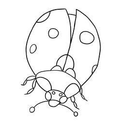 Coloring page: Bettle (Animals) #3397 - Free Printable Coloring Pages