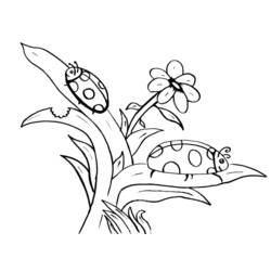 Coloring page: Bettle (Animals) #3408 - Free Printable Coloring Pages