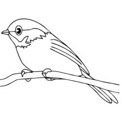 Coloring page: Birds (Animals) #11840 - Free Printable Coloring Pages