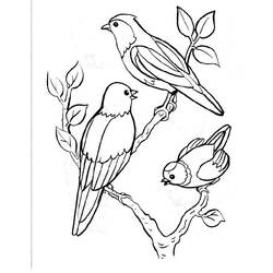Coloring page: Birds (Animals) #11841 - Free Printable Coloring Pages