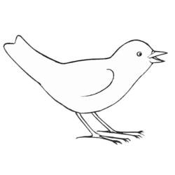 Coloring page: Birds (Animals) #11884 - Free Printable Coloring Pages