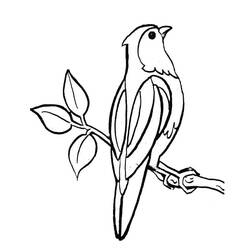 Coloring page: Birds (Animals) #11893 - Free Printable Coloring Pages