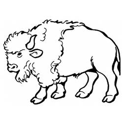 Coloring pages: Bison - Free Printable Coloring Pages