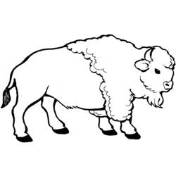 Coloring page: Bison (Animals) #1195 - Free Printable Coloring Pages