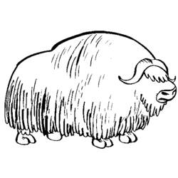 Coloring page: Bison (Animals) #1200 - Free Printable Coloring Pages