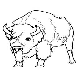 Coloring page: Bison (Animals) #1201 - Free Printable Coloring Pages