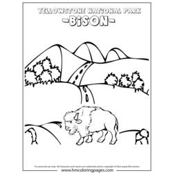 Coloring page: Bison (Animals) #1239 - Free Printable Coloring Pages
