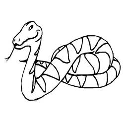 Coloring page: Boa (Animals) #1297 - Free Printable Coloring Pages