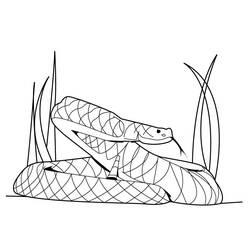 Coloring page: Boa (Animals) #1317 - Free Printable Coloring Pages