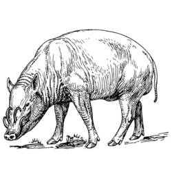 Coloring page: Boar (Animals) #14659 - Free Printable Coloring Pages