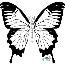 Coloring page: Butterfly (Animals) #15664 - Free Printable Coloring Pages