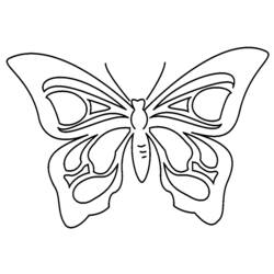 Coloring page: Butterfly (Animals) #15707 - Free Printable Coloring Pages