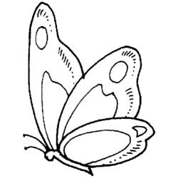 Coloring page: Butterfly (Animals) #15719 - Free Printable Coloring Pages