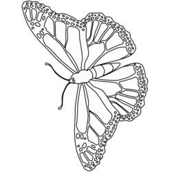 Coloring page: Butterfly (Animals) #15773 - Free Printable Coloring Pages