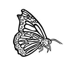 Coloring page: Butterfly (Animals) #15852 - Free Printable Coloring Pages