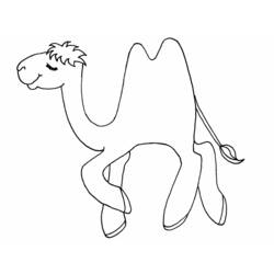 Coloring page: Camel (Animals) #1662 - Free Printable Coloring Pages