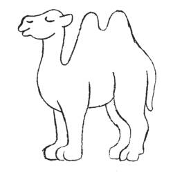 Coloring pages: Camel - Free Printable Coloring Pages