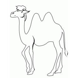 Coloring page: Camel (Animals) #1674 - Free Printable Coloring Pages