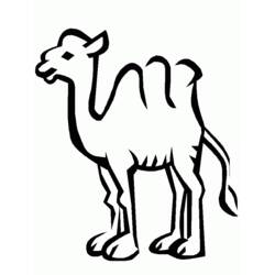 Coloring page: Camel (Animals) #1693 - Free Printable Coloring Pages